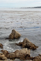  17-Mile Drive, Monterey Peninsula