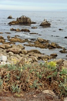  17-Mile Drive, Monterey Peninsula