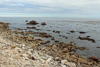  17-Mile Drive, Monterey Peninsula