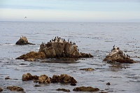  17-Mile Drive, Monterey Peninsula