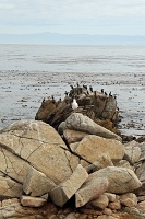  17-Mile Drive, Monterey Peninsula
