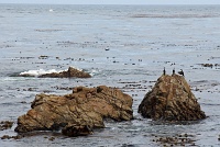  17-Mile Drive, Monterey Peninsula