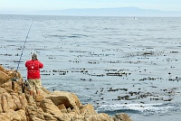 17-Mile Drive, Monterey Peninsula