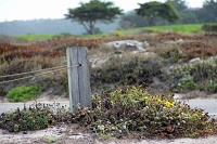  17-Mile Drive, Monterey Peninsula