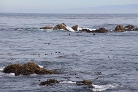  17-Mile Drive, Monterey Peninsula