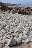  17-Mile Drive, Monterey Peninsula