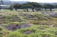  17-Mile Drive, Monterey Peninsula