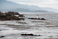  17-Mile Drive, Monterey Peninsula
