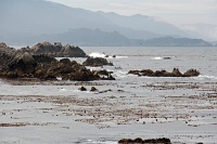  17-Mile Drive, Monterey Peninsula