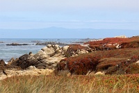  17-Mile Drive, Monterey Peninsula
