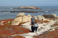  17-Mile Drive, Monterey Peninsula
