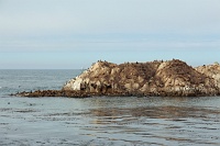  Bird Rock - 17-Mile Drive, Monterey Peninsula