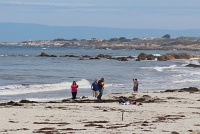  17-Mile Drive, Monterey Peninsula