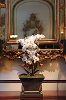  Fairmont San Francisco Hotel