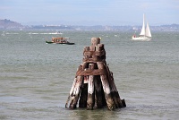  San Francisco Bay