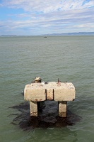  San Francisco Bay