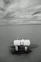  San Francisco Bay