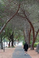  Stanford University