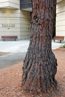  Keck Science Building, Stanford University