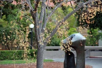  Stanford University