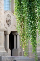  Stanford University