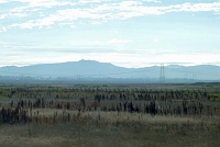  Heading south from San Francisco