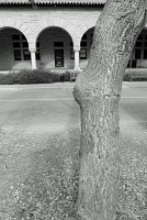  Stanford University