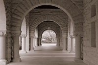  Stanford University