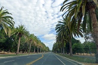  Stanford University