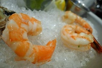  Shrimp - Yankee Pier, San Francisco International Airport