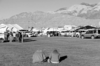 IMG_8373