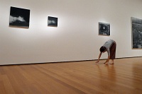  MOMA
