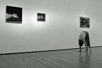  MOMA