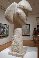 MOMA