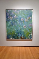  Claude Monet, MOMA