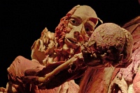  Body Worlds at Discovery Times Square
