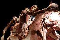 Body Worlds at Discovery Times Square