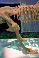 Art of the Brick at Discovery Times Square