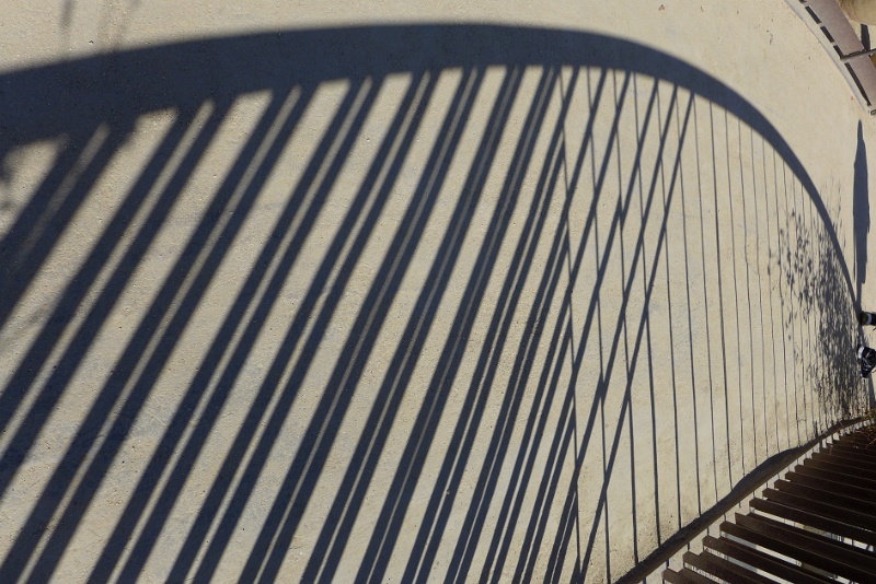 P1000622