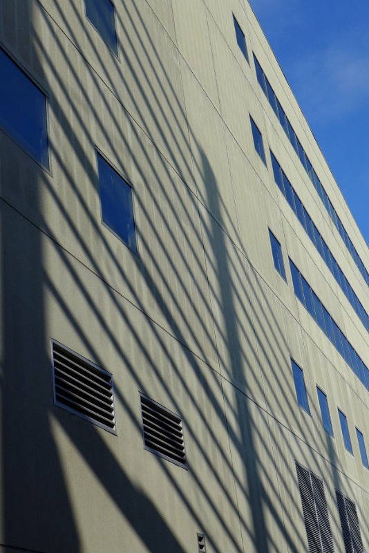 P1000913