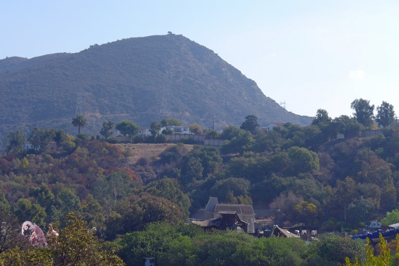 P1000993