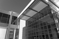  The Getty Museum