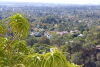  The Getty Museum