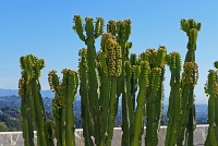  The Getty Museum