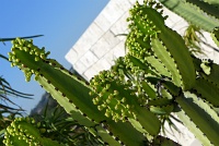  The Getty Museum