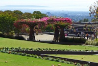 The Getty Museum