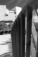  The Getty Museum