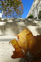  The Getty Museum