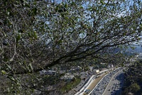  The 405