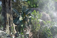  Jurassic Park, Universal Studios Hollywood